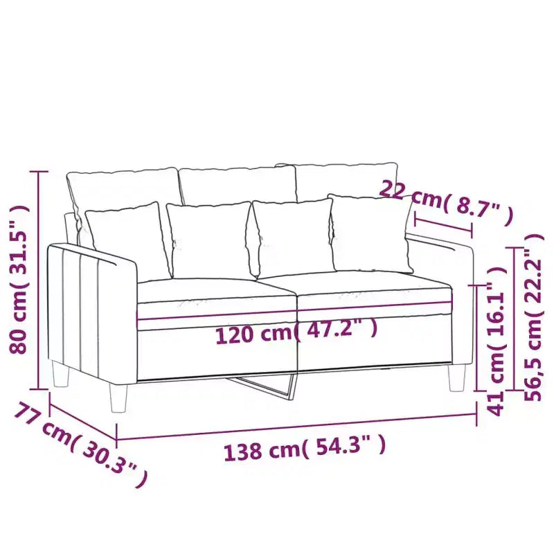 vidaXL 2-Seater Sofa Black 47.2 Velvet